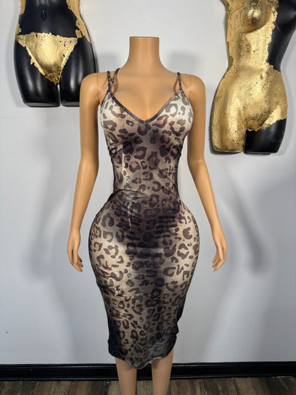 Briana Dress - Animal Print - Head Over Heels: All In One Boutique